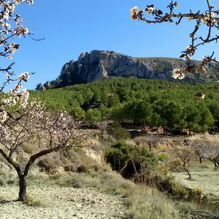 Сasa de vacaciones Finca Sierra Olta